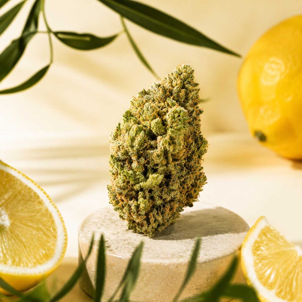 Super Lemon Haze